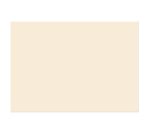 Diplomi - stampa neutra A4 - 120 gr - avorio - Sadoch - conf. 10 pezzi
