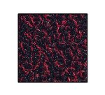 Tappeto Collect - 90 x 150 cm - rosso - Medial International