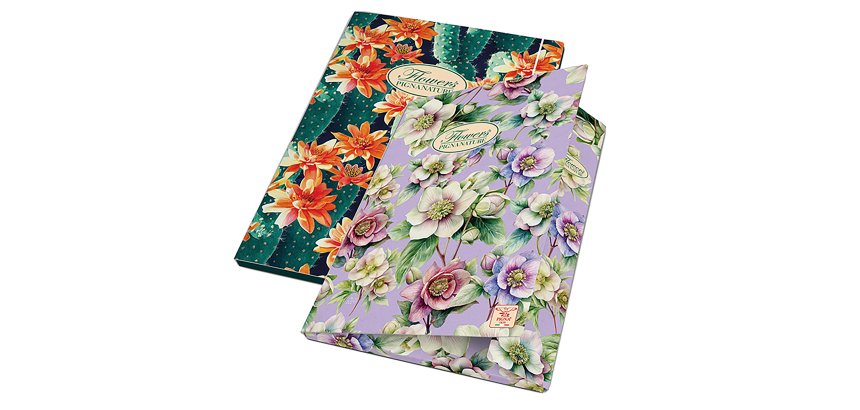 Pigna 02303643L folder Multicolour