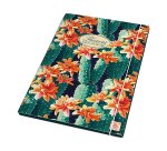 Pigna 02303643L folder Multicolour