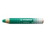 Matitoni MARKdry per lavagne - con temperino e panno microfibra - Stabilo - astuccio 4 pezzi