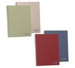 Maxiquaderno Crush - A4 - 1 rigo - 60 fogli - 80 gr - spiralato - Favini