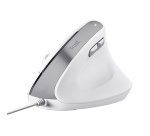 Trust Bayo II mouse Office Right-hand USB Type-A Optical 2400 DPI