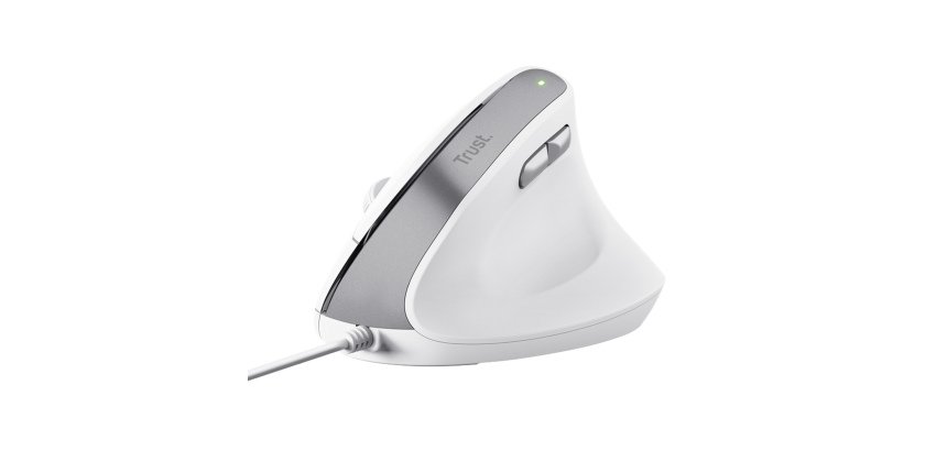 Trust Bayo II mouse Office Right-hand USB Type-A Optical 2400 DPI