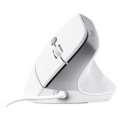 Trust Bayo II mouse Office Right-hand USB Type-A Optical 2400 DPI