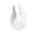 Trust Bayo II mouse Office Right-hand USB Type-A Optical 2400 DPI