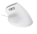 Trust Bayo II mouse Office Right-hand USB Type-A Optical 2400 DPI