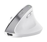 Trust Bayo+ mouse Office Right-hand RF Wireless + Bluetooth Optical 2400 DPI