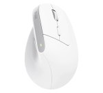 Trust Bayo+ mouse Office Right-hand RF Wireless + Bluetooth Optical 2400 DPI