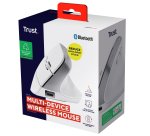 Trust Bayo+ mouse Office Right-hand RF Wireless + Bluetooth Optical 2400 DPI