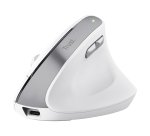 Trust Bayo II mouse Office Right-hand RF Wireless Optical 2400 DPI