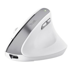 Trust Bayo II mouse Office Right-hand RF Wireless Optical 2400 DPI