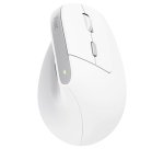 Trust Bayo II mouse Office Right-hand RF Wireless Optical 2400 DPI