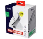 Trust Bayo II mouse Office Right-hand RF Wireless Optical 2400 DPI