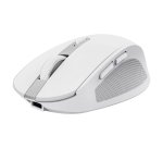 Trust Ozaa mouse Office Right-hand RF Wireless + Bluetooth Optical 3200 DPI