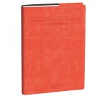 Agenda del Professore 2027 - copertina Roma - 21 x 27 cm - rosa corallo - Quo Vadis