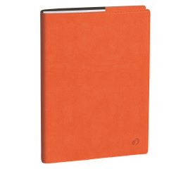 Agenda del Professore 2026 - copertina Roma - 21 x 27 cm - arancione - Quo Vadis
