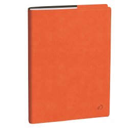 Agenda del Professore 2026 - copertina Roma - 21 x 27 cm - arancione - Quo Vadis