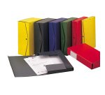 Scatola archivio Project - dorso 8 cm - 25 x 35 cm - verde - Esselte