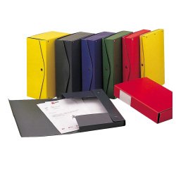 Scatola archivio Project - dorso 12 cm - 25 x 35 cm - verde - Esselte