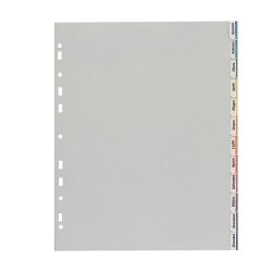 Separatore - 12 tacche personalizzabili - PP - 22x30 cm - grigio - Favorit