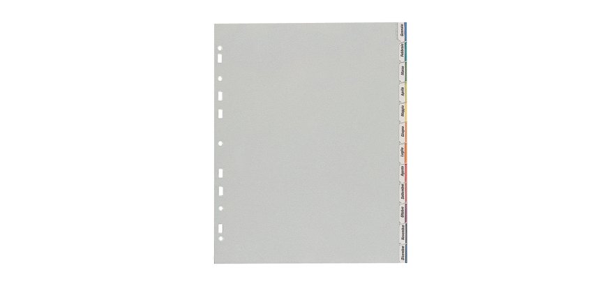 Separatore - 12 tacche personalizzabili - PP - 22x30 cm - grigio - Favorit