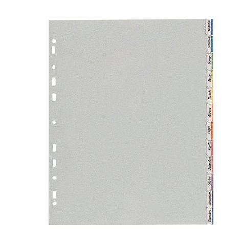 Separatore - 12 tacche personalizzabili - PP - 22x30 cm - grigio - Favorit