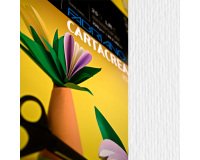 Cartoncino CartaCrea - 35 x 50 cm - 220 gr - bianco - Fabriano - blister 10 fogli