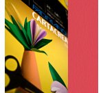 Cartoncino CartaCrea - 35 x 50 cm - 220 gr - rosso 109 - Fabriano - blister 10 fogli