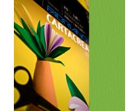 Cartoncino CartaCrea - 35x50cm - 220gr - verde 111 - Fabriano - blister 10 fogli