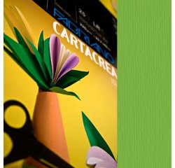 Cartoncino CartaCrea - 35x50cm - 220gr - verde 111 - Fabriano - blister 10 fogli