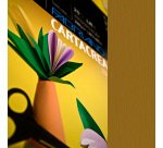 Cartoncino CartaCrea - 35 x 50 cm - 220 gr - marrone 106 - Fabriano - blister 10 fogli