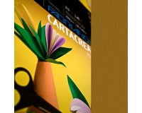 Cartoncino CartaCrea - 35x50cm - 220gr - marrone 106 - Fabriano - blister 10 fogli