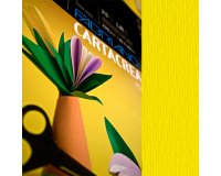 Cartoncino CartaCrea - 35x50cm - 220gr - giallo 107 - Fabriano - blister 10 fogli