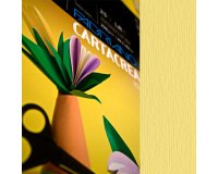 Cartoncino CartaCrea - 35x50cm - 220gr - onice 117 - Fabriano - blister 10 fogli