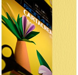 Cartoncino CartaCrea - 35 x 50 cm - 220 gr - onice 117 - Fabriano - blister 10 fogli