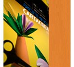 Cartoncino CartaCrea - 35 x 50 cm - 220 gr - arancio 108 - Fabriano - blister 10 fogli