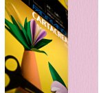 Cartoncino CartaCrea - 35 x 50 cm - 220 gr - rosa 116 - Fabriano - blister 10 fogli