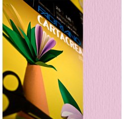 Cartoncino CartaCrea - 35 x 50 cm - 220 gr - rosa 116 - Fabriano - blister 10 fogli