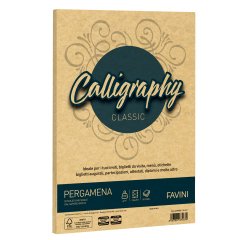Favini Pergamena Calligraphy printing paper A4 (210x297 mm) 50 sheets Gold