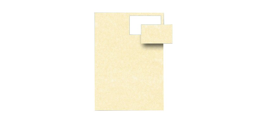 Biglietti da visita - 85 x 54 mm - 165 gr - microperforati - avorio - Decadry - conf. 12 fogli da 10 biglietti