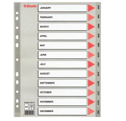 Separatore mensile Gen/Dic - PPL - A4 - grigio - Esselte