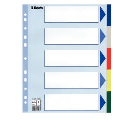 Separatore - 5 tasti colorati - PP - A4 maxi - 24,5x29,7 cm - multicolore - Esselte