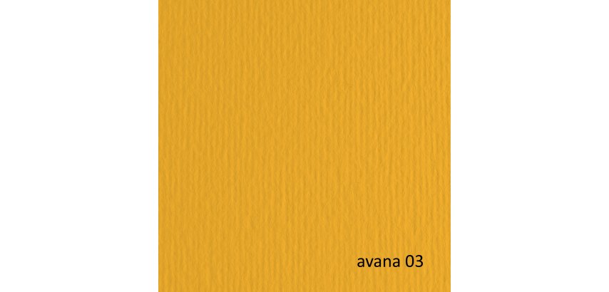 Cartoncino Elle Erre - 50 x 70 cm - 220 gr - avana 103 - Fabriano - blister 20 fogli