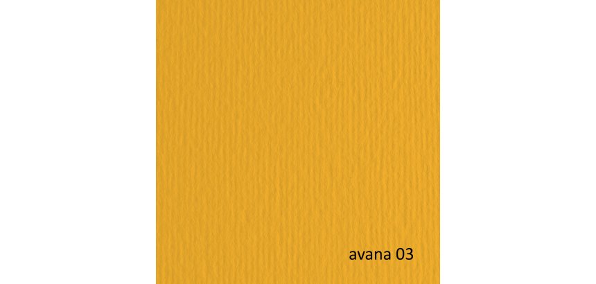 Cartoncino Elle Erre - 50 x 70 cm - 220 gr - avana 103 - Fabriano - blister 20 fogli