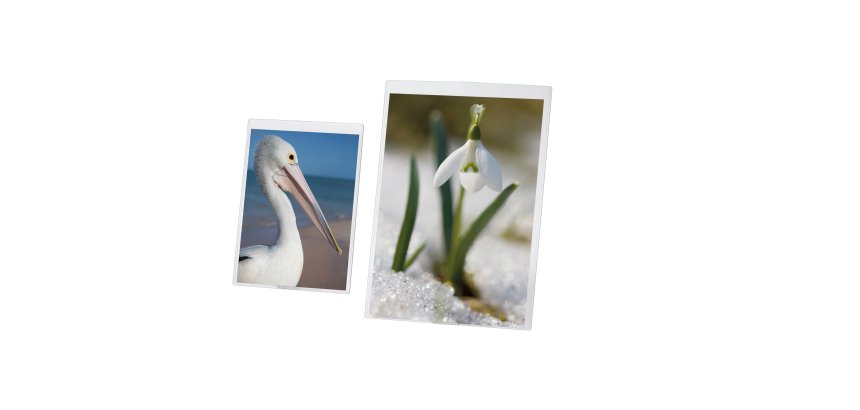 Lebez 5253 label holder 1 pc(s)