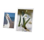 Lebez 5254 document holder Transparent