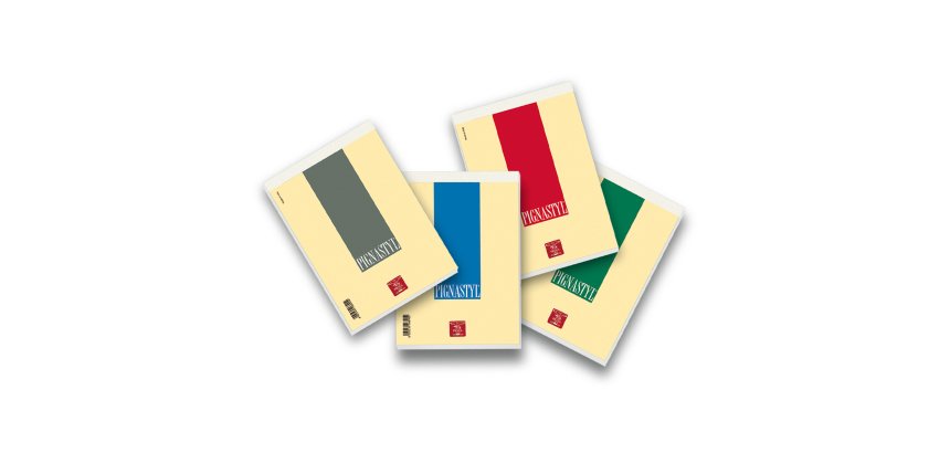 Pigna Pignastyl writing notebook A5 70 sheets Multicolour