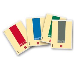 Pigna 0213748BI writing notebook A4 70 sheets Multicolour