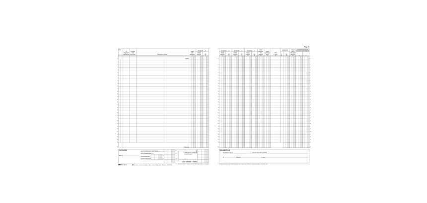 Registro Iva fatture - 31 x 24,5cm - 22pg - numerate - Edipro